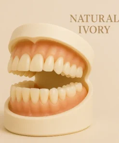 Bikenda® Premium Denture