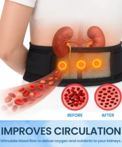 Bikenda® InfraMag Kidney Care Belt